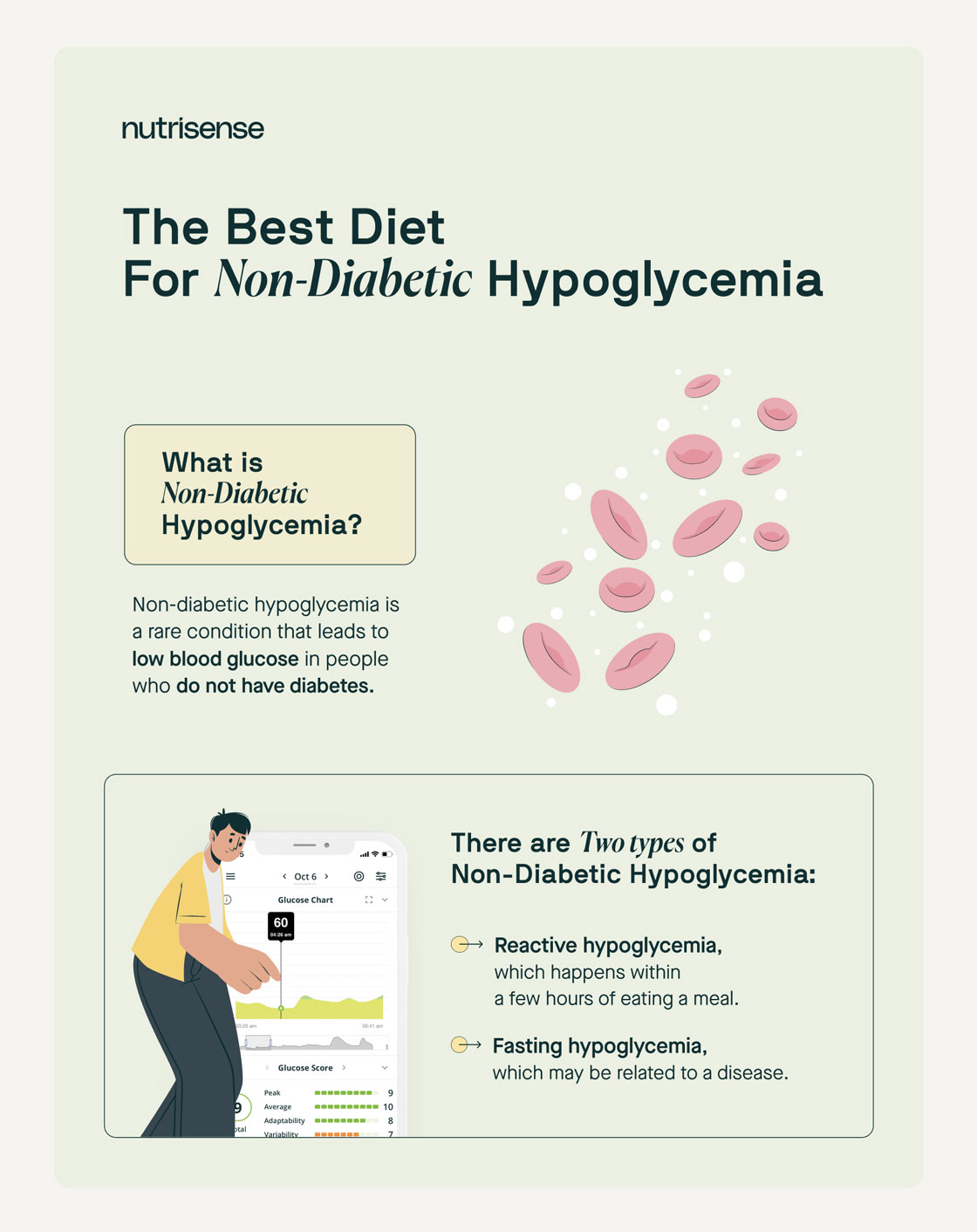 Best Diet for NonDiabetic Hypoglycemia Nutrisense Journal